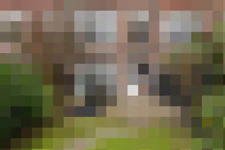 Claes de Vrieselaan 30 B Rotterdam thumbnail 25