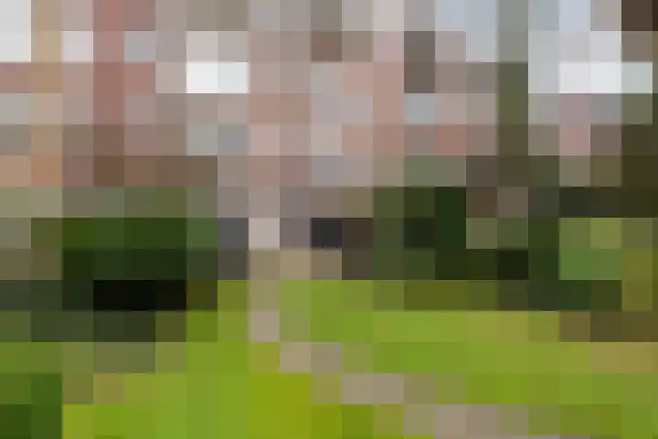 Claes de Vrieselaan 30 B Rotterdam thumbnail 26