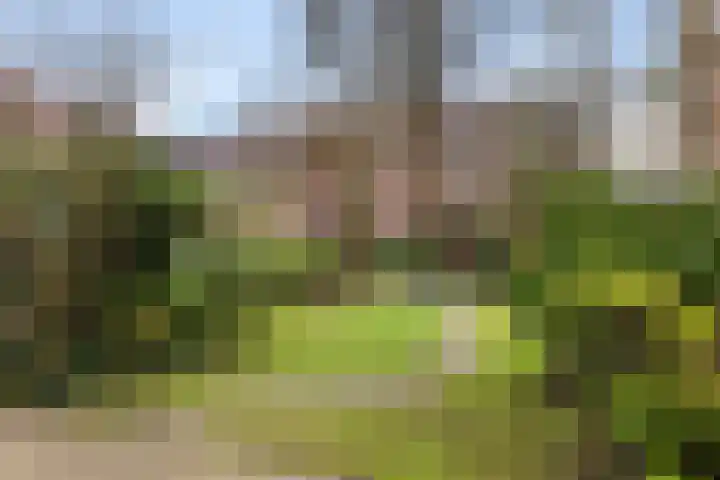 Claes de Vrieselaan 30 B Rotterdam thumbnail 27