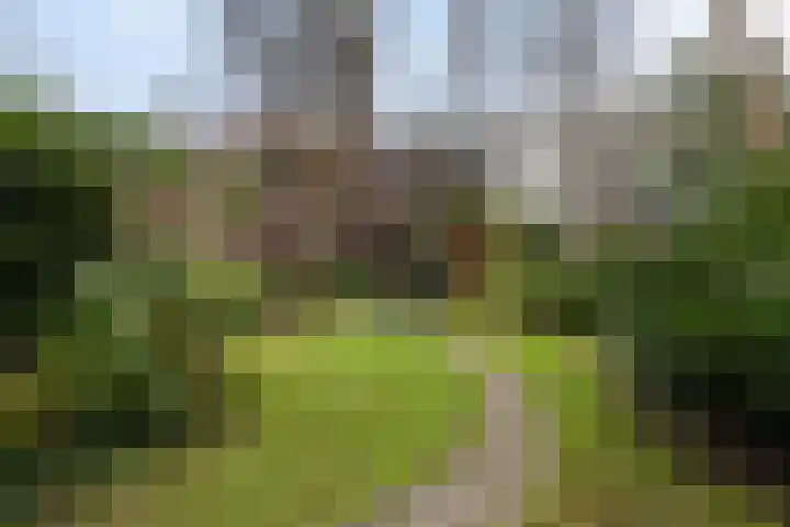 Claes de Vrieselaan 30 B Rotterdam thumbnail 28
