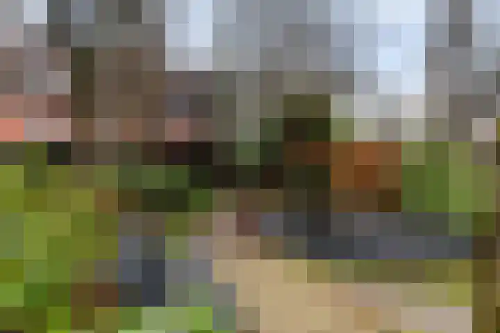 Claes de Vrieselaan 30 B Rotterdam thumbnail 29