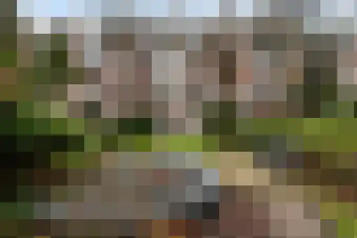 Claes de Vrieselaan 30 B Rotterdam thumbnail 30