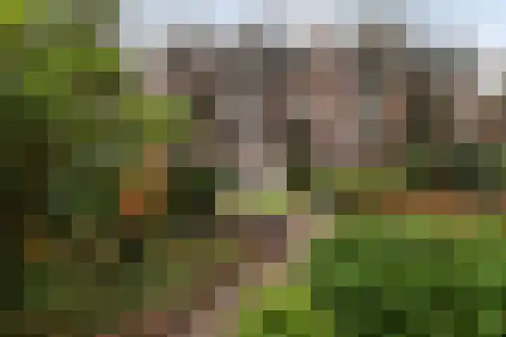 Claes de Vrieselaan 30 B Rotterdam thumbnail 31