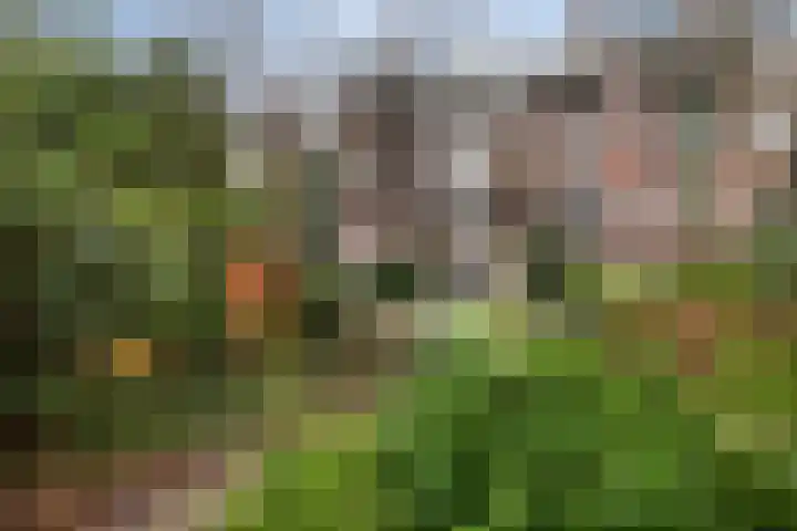 Claes de Vrieselaan 30 B Rotterdam thumbnail 32