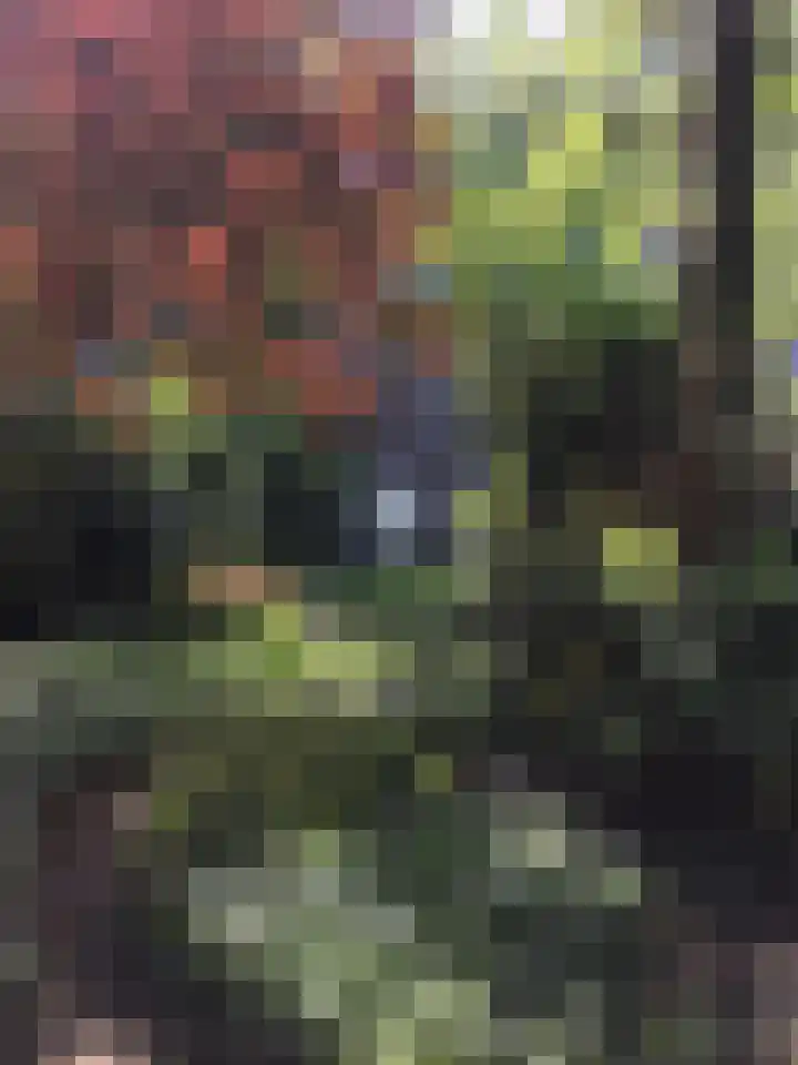 Claes de Vrieselaan 30 B Rotterdam thumbnail 33