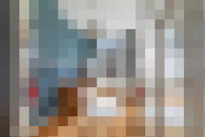 Claes de Vrieselaan 30 B Rotterdam thumbnail 35