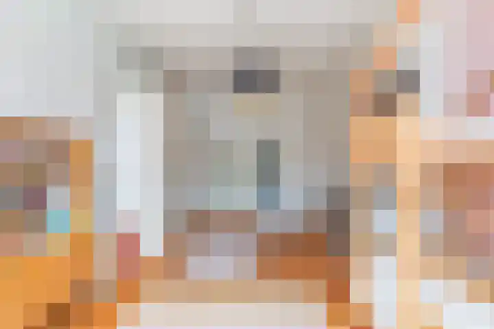 Claes de Vrieselaan 30 B Rotterdam thumbnail 49