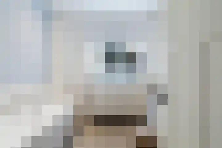 Claes de Vrieselaan 30 B Rotterdam thumbnail 51