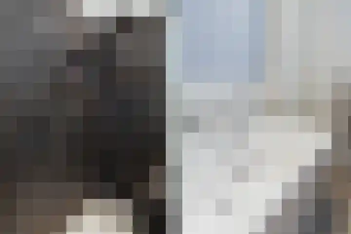 Claes de Vrieselaan 30 B Rotterdam thumbnail 53