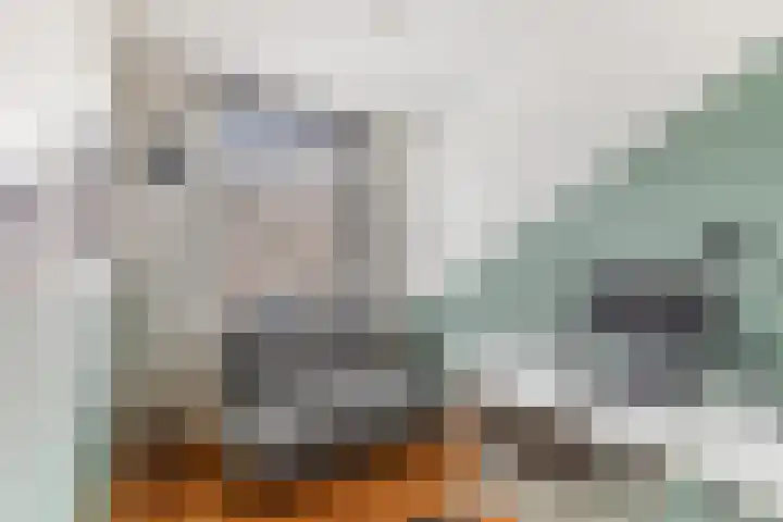 Claes de Vrieselaan 30 B Rotterdam thumbnail 55