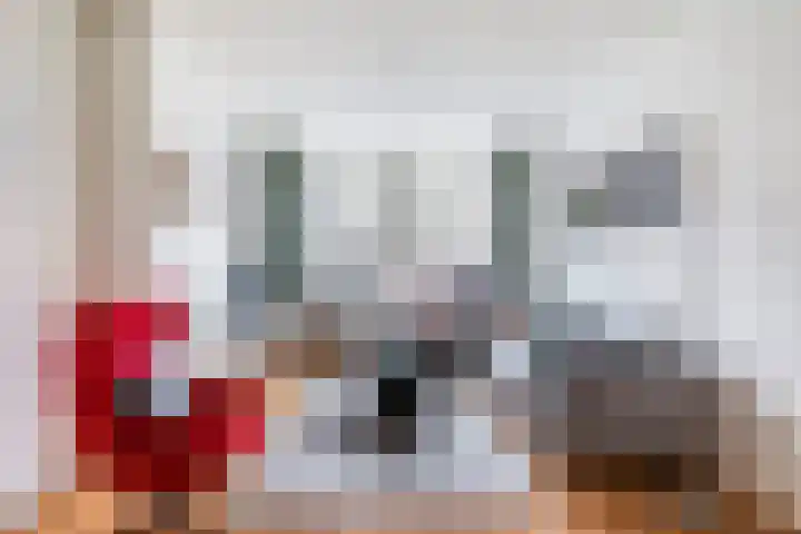 Claes de Vrieselaan 30 B Rotterdam thumbnail 6