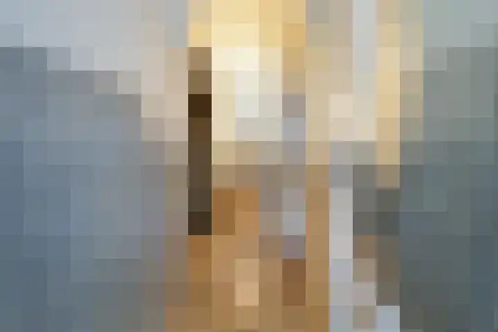 Claes de Vrieselaan 30 B Rotterdam thumbnail 61