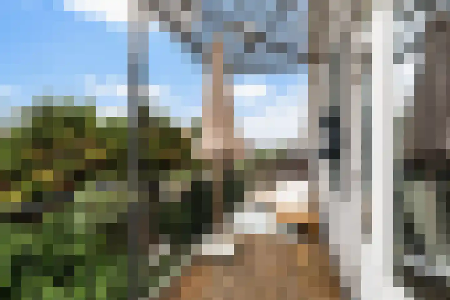 Claes de Vrieselaan 31 A Rotterdam thumbnail 52