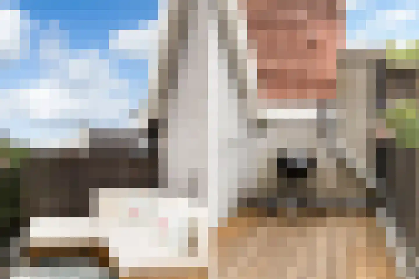Claes de Vrieselaan 31 A Rotterdam thumbnail 54