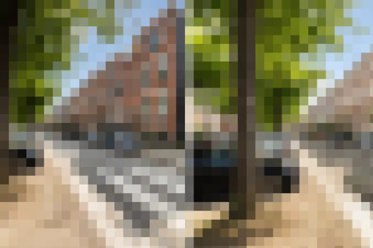 Claes de Vrieselaan 31 A Rotterdam thumbnail 57