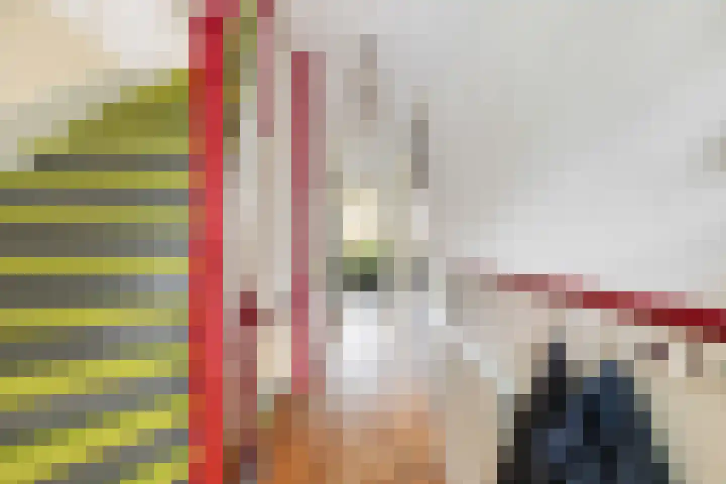 Claes de Vrieselaan 33 B Rotterdam thumbnail 10