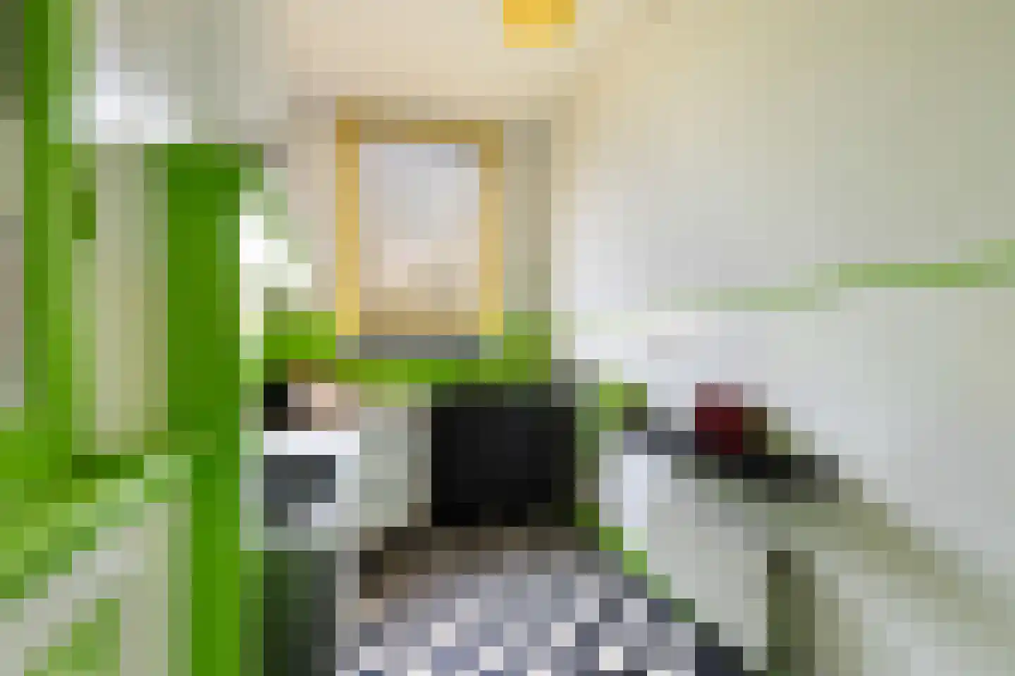 Claes de Vrieselaan 33 B Rotterdam thumbnail 24