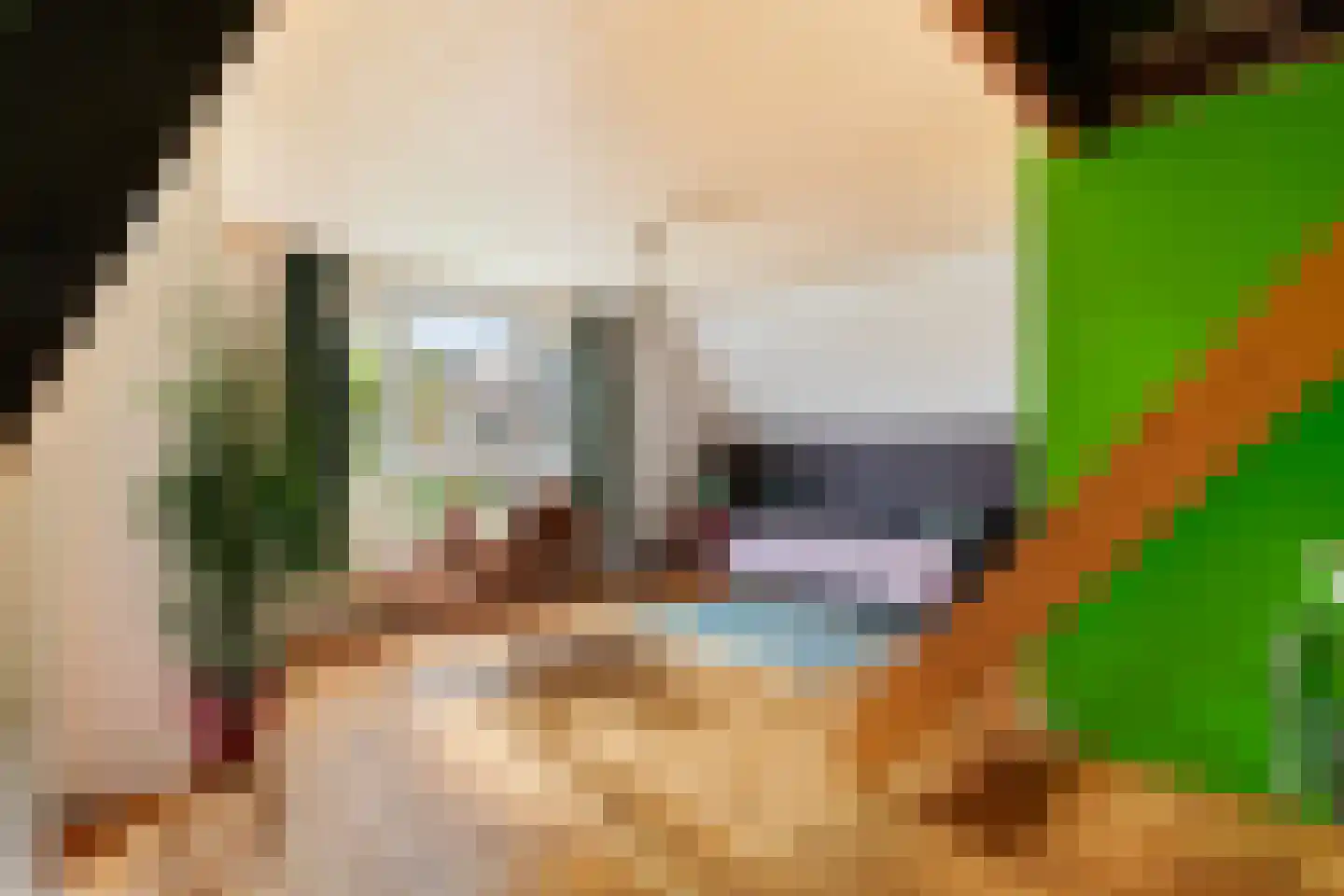 Claes de Vrieselaan 33 B Rotterdam thumbnail 31