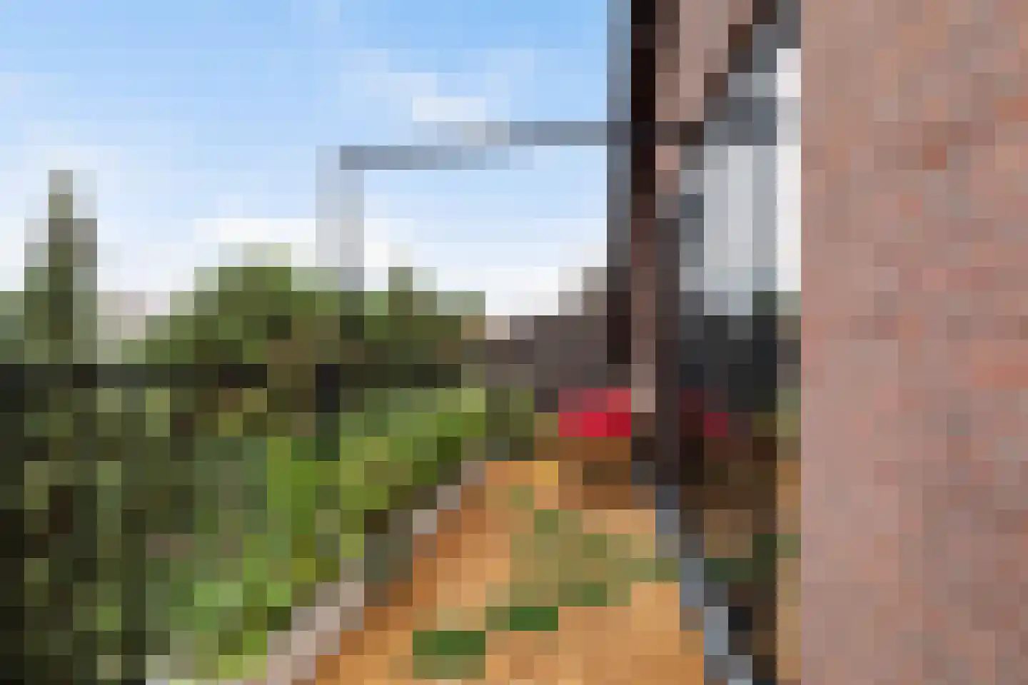 Claes de Vrieselaan 33 B Rotterdam thumbnail 40