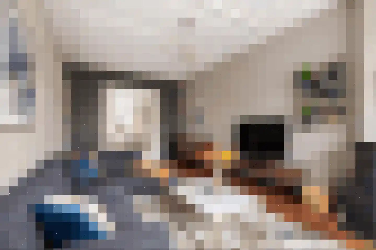 Claes de Vrieselaan 33 B Rotterdam thumbnail 5