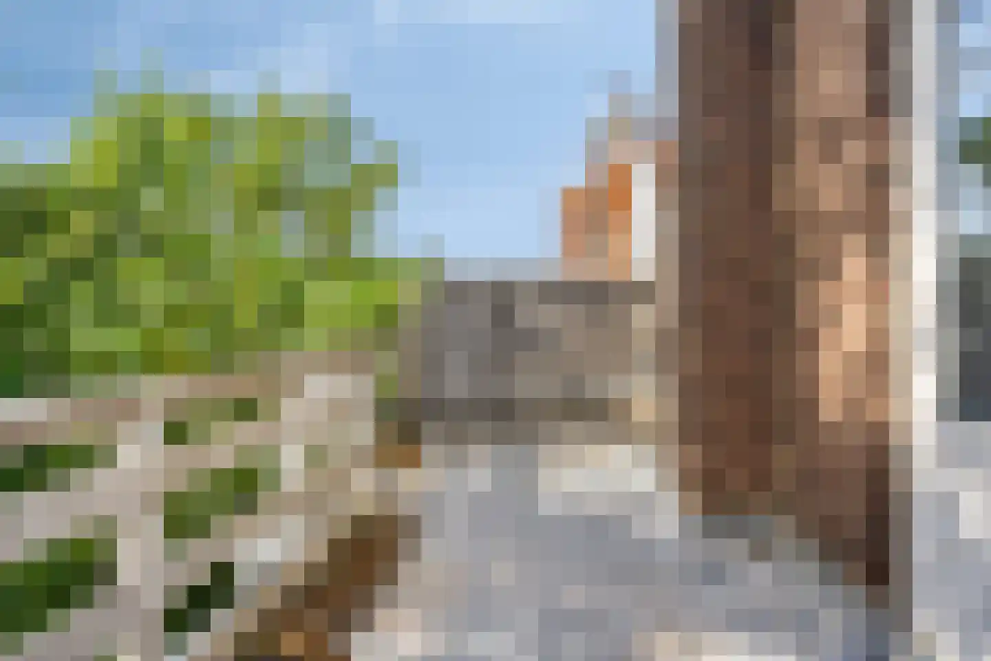 Claes de Vrieselaan 37 A Rotterdam thumbnail 26