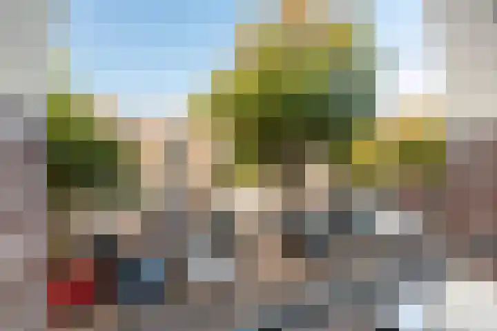 Claes de Vrieselaan 52 B Rotterdam thumbnail 10