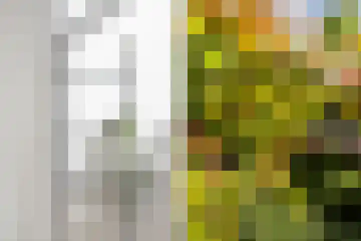 Claes de Vrieselaan 52 B Rotterdam thumbnail 18