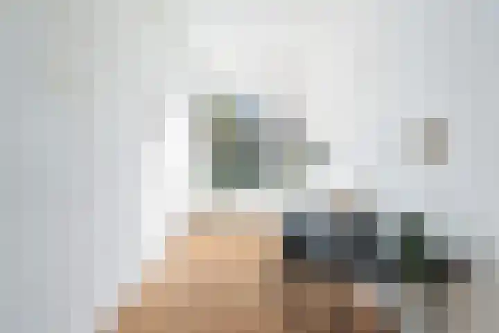 Claes de Vrieselaan 52 B Rotterdam thumbnail 22