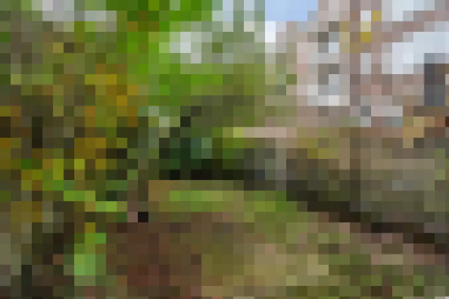 Claes de Vrieselaan 52 B Rotterdam thumbnail 26