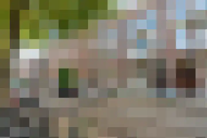 Claes de Vrieselaan 52 B Rotterdam thumbnail 30