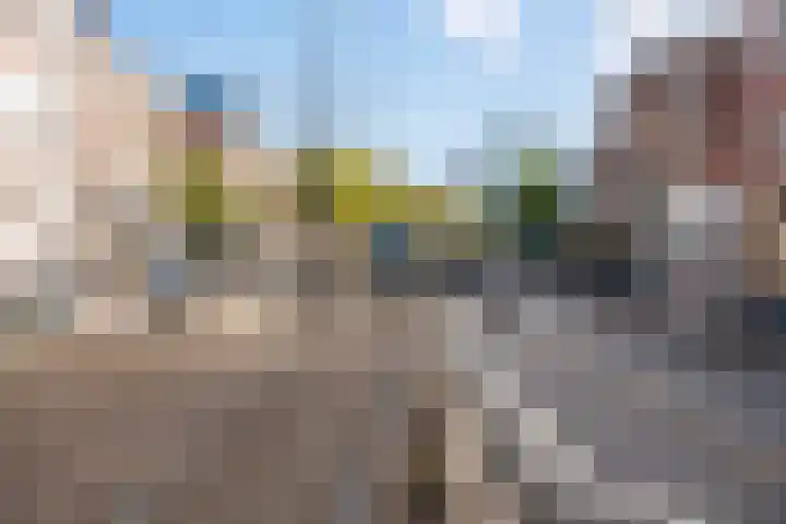 Claes de Vrieselaan 52 B Rotterdam thumbnail 31