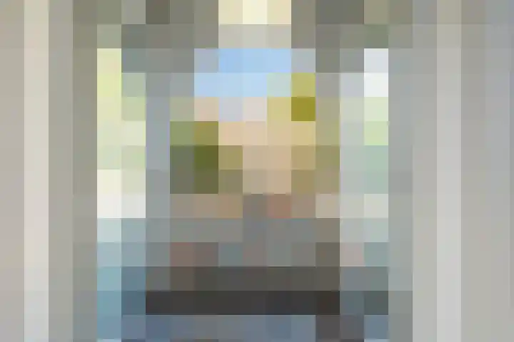 Claes de Vrieselaan 52 B Rotterdam thumbnail 4