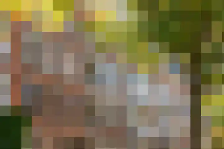 Claes de Vrieselaan 52 B Rotterdam thumbnail 5