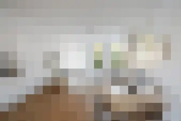 Claes de Vrieselaan 52 B Rotterdam thumbnail 6