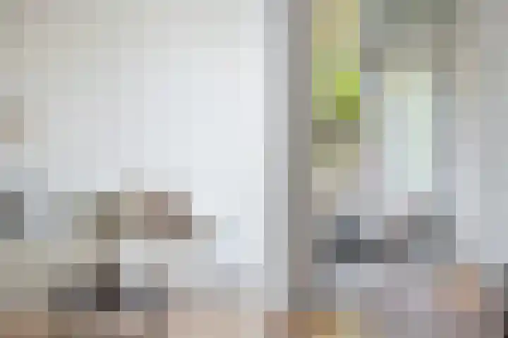 Claes de Vrieselaan 52 B Rotterdam thumbnail 8