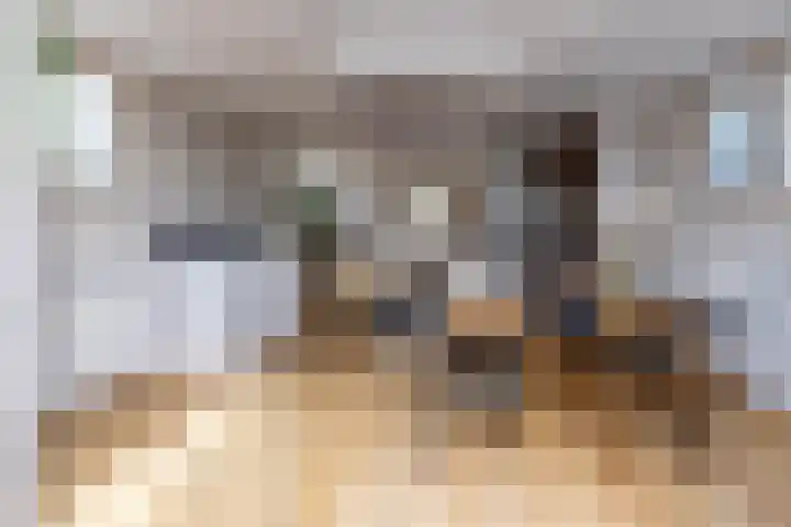 Claes de Vrieselaan 54 A Rotterdam thumbnail 12