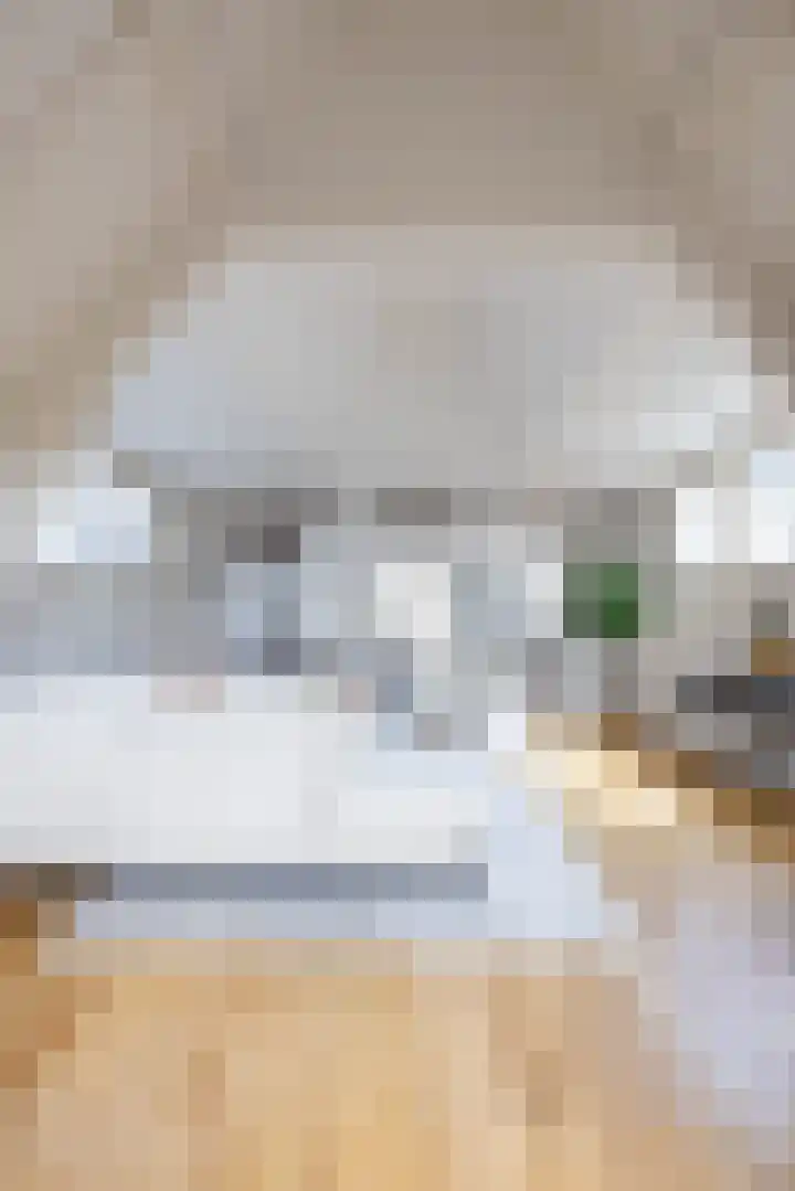 Claes de Vrieselaan 54 A Rotterdam thumbnail 13