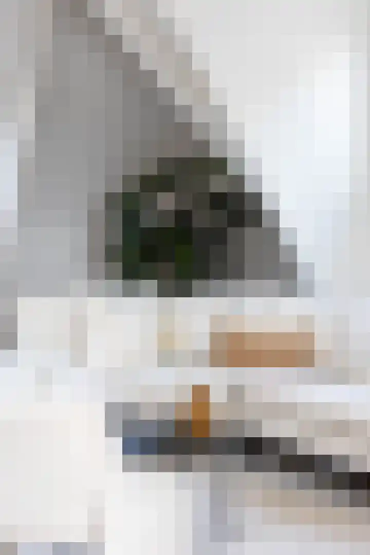 Claes de Vrieselaan 54 A Rotterdam thumbnail 15
