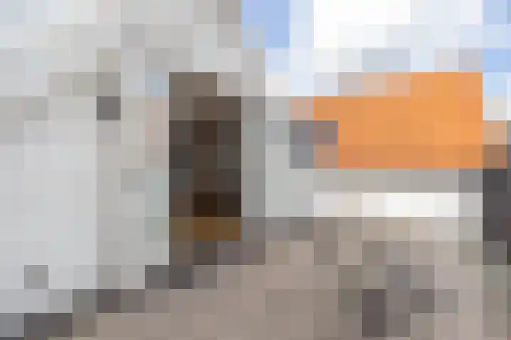 Claes de Vrieselaan 54 A Rotterdam thumbnail 25