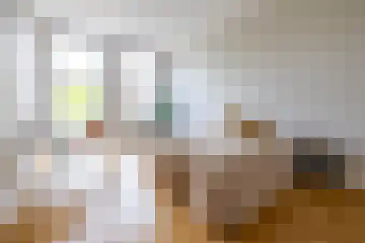 Claes de Vrieselaan 54 A Rotterdam thumbnail 29