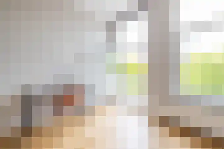 Claes de Vrieselaan 54 A Rotterdam thumbnail 31