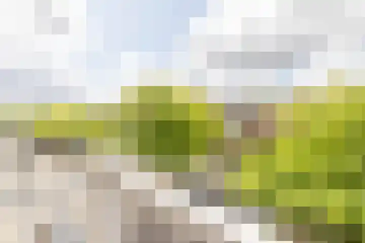 Claes de Vrieselaan 54 A Rotterdam thumbnail 32