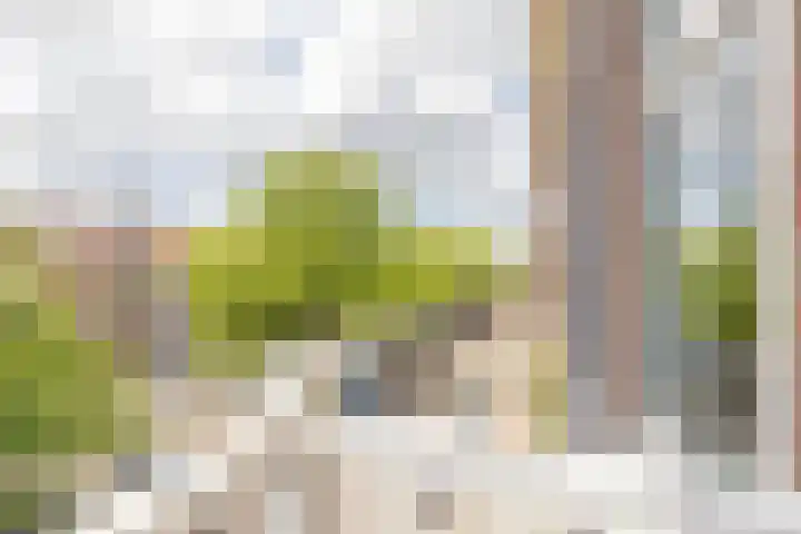 Claes de Vrieselaan 54 A Rotterdam thumbnail 33