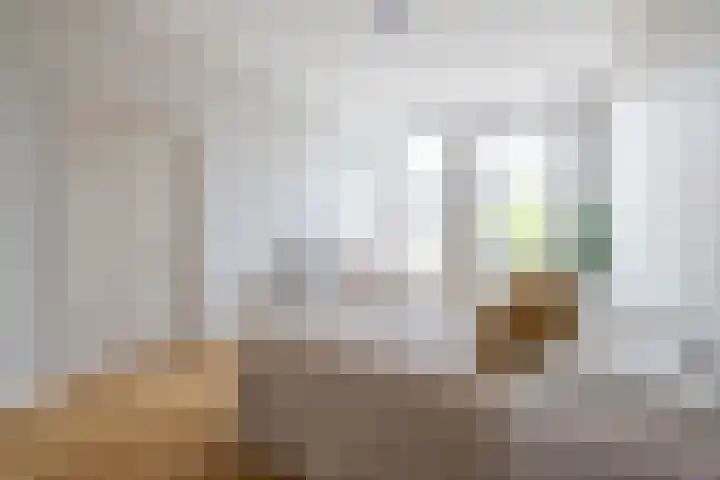 Claes de Vrieselaan 54 A Rotterdam thumbnail 34