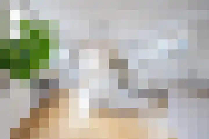 Claes de Vrieselaan 54 A Rotterdam thumbnail 7