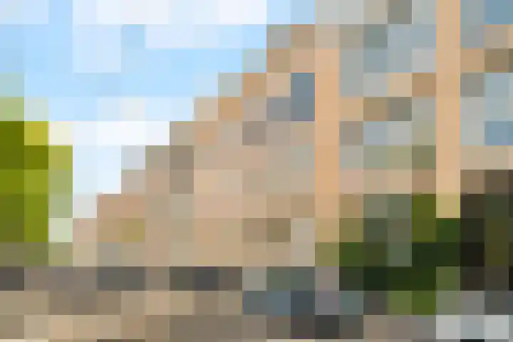 Claes de Vrieselaan 66 A 01 Rotterdam thumbnail 4