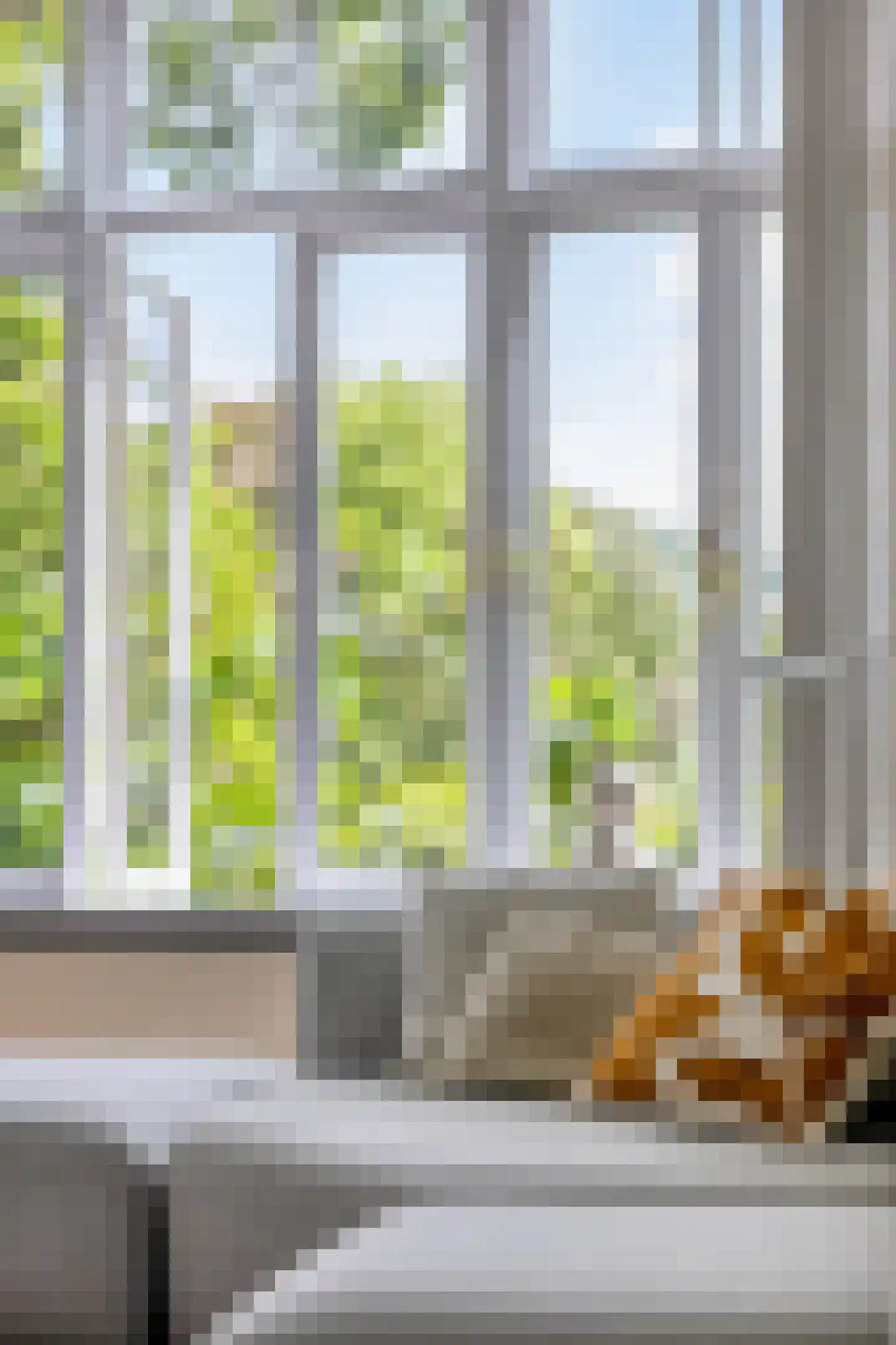 Claes de Vrieselaan 82 B Rotterdam thumbnail 22