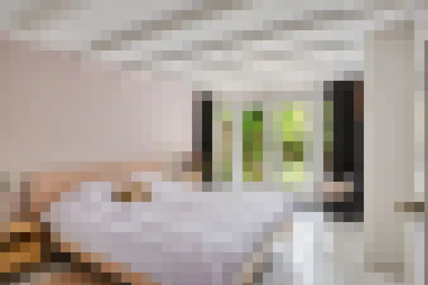 Claes de Vrieselaan 82 B Rotterdam thumbnail 44