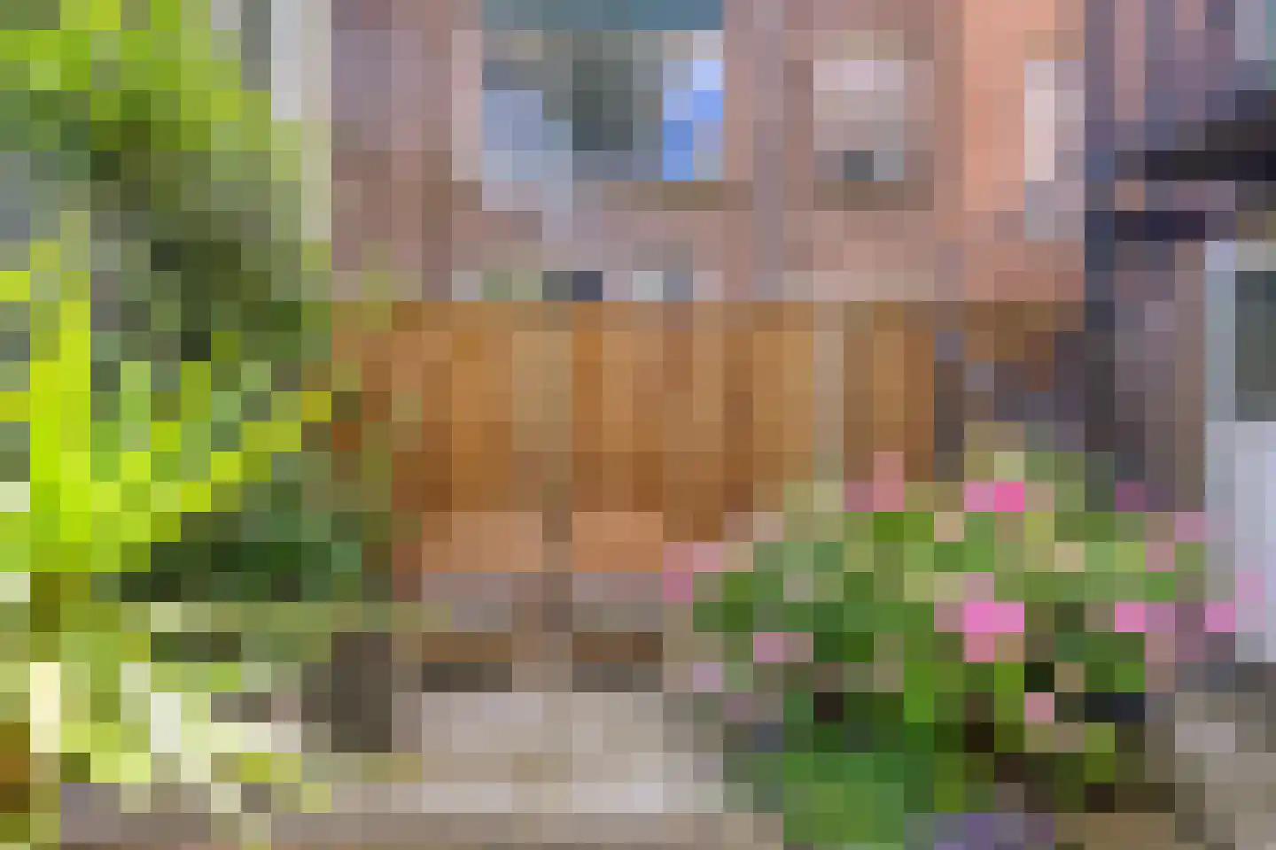 Claes de Vrieselaan 82 B Rotterdam thumbnail 63