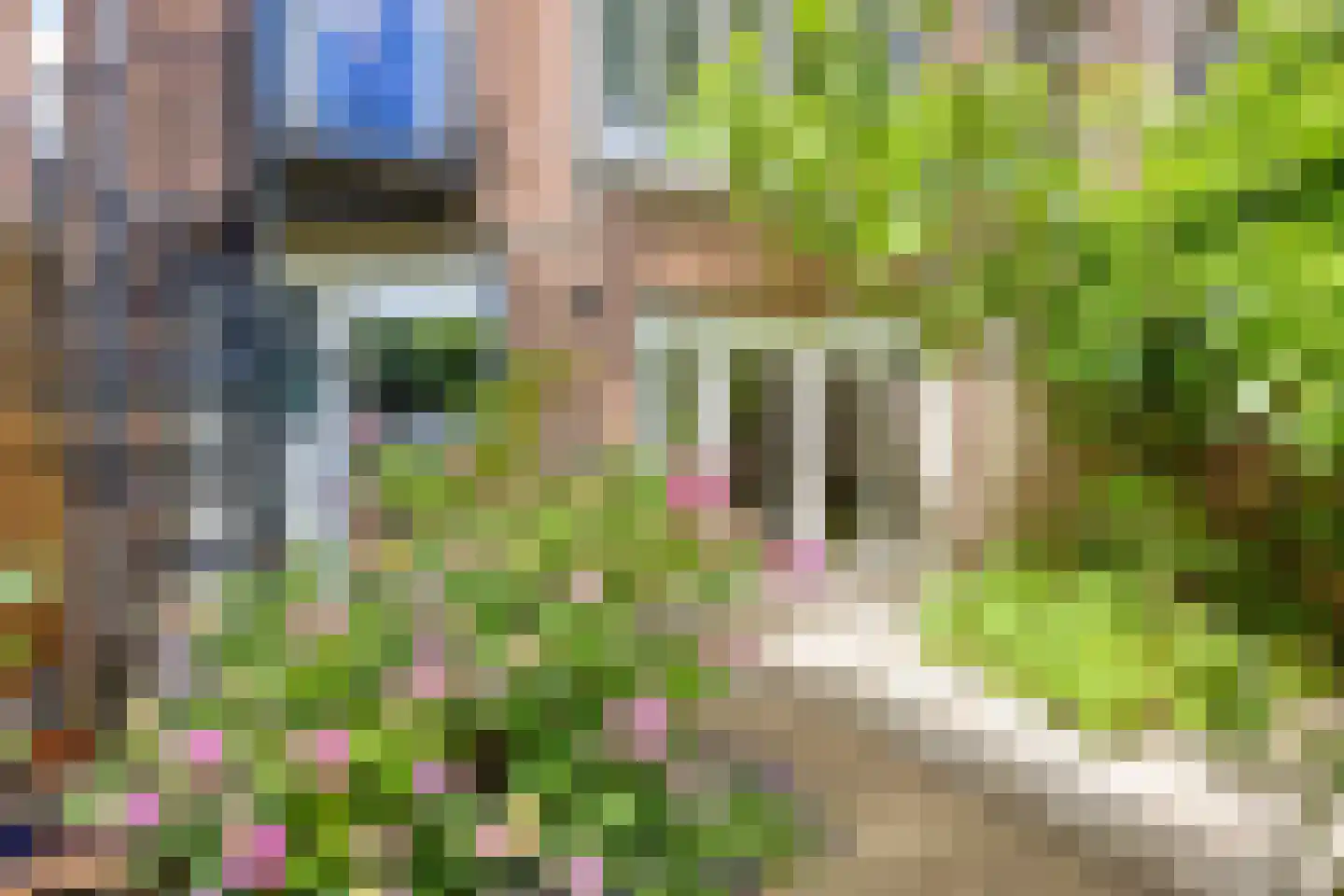 Claes de Vrieselaan 82 B Rotterdam thumbnail 65